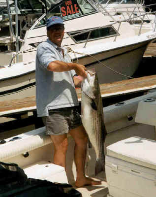 40 inches  -  25 lbs!