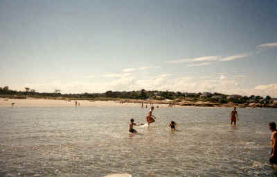 Swimming at Wingersheek Beach, Cape Ann