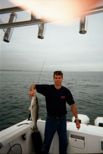 Mean fish!